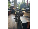 Desinkio 11s Urban Olive Green e bike