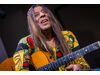 Harri Stojka - Salut to Jimi Hendrix