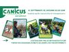 Online-Infoabend Therapiehundeausbildung