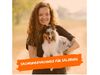 Sachkundenachweis für Salzburger HundehalterInnen
