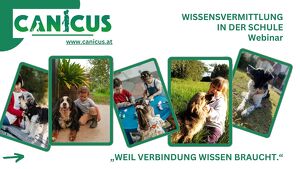 Der Schulhund - praktische Einsatzideen & Mehrwert
