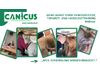 Keine Angst vorm Hundedoktor, Tierarzt- und Handlingtraining