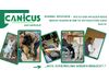 Animal Welfare - Wie ich das Wohlbefinden meines Hundes in der TGI unterstützen kann