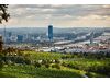 Tour de Vin 2025 - Wien