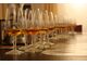 Whisky Verkostung