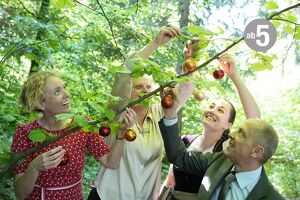 Ein Stück Weihnachten