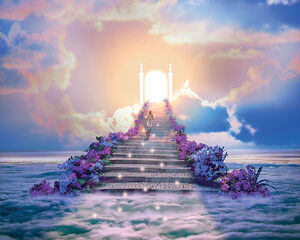 Die Seele lebt ewig! Jenseits von Tod und Leben.