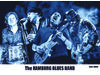 The Hamburg Blues Band feat. Krissy Matthews