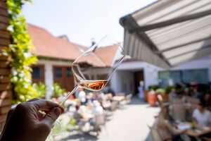 Wagramer Weinfr&uuml;hling im Weingut Urbanihof