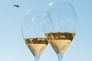 Blindverkostung im LOISIUM S&uuml;dsteiermark