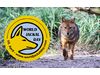 Webinar: Internationaler Tag der Schakale