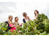 Taste the Weinviertel in Loosdorf