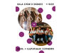 DABADO Konzert - 30 Jahre Dance Art School