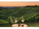 Sundown Sounds & Wine im LOISIUM S&uuml;dsteiermark