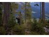 Wald der Zukunft-F&uuml;hrung in Kainisch
