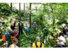 Wald der Zukunft-F&uuml;hrung im Echerntal bei Hallstatt