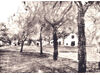 Workshop: Kaltnadelradierung